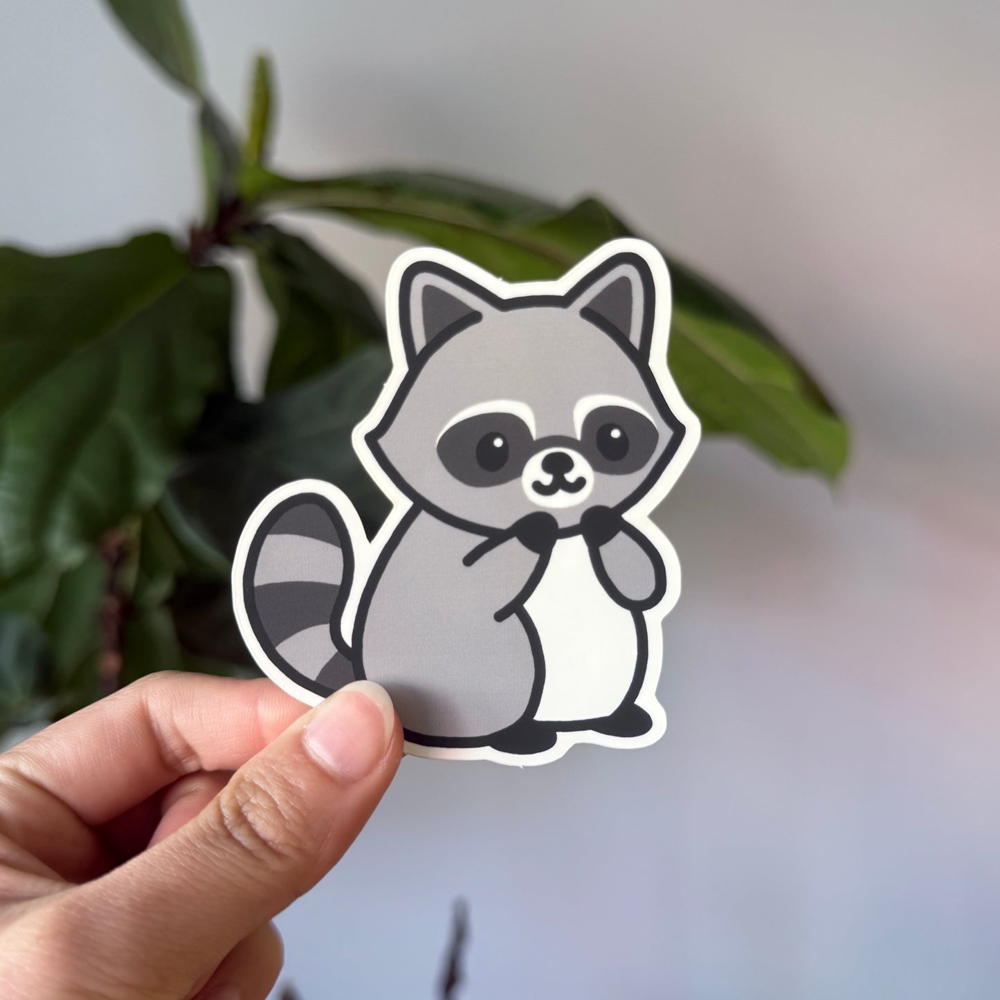 Raccoon Sticker